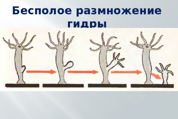 Сайт кракен 24
