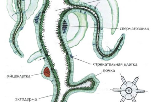 Как зарегистрироваться на кракене