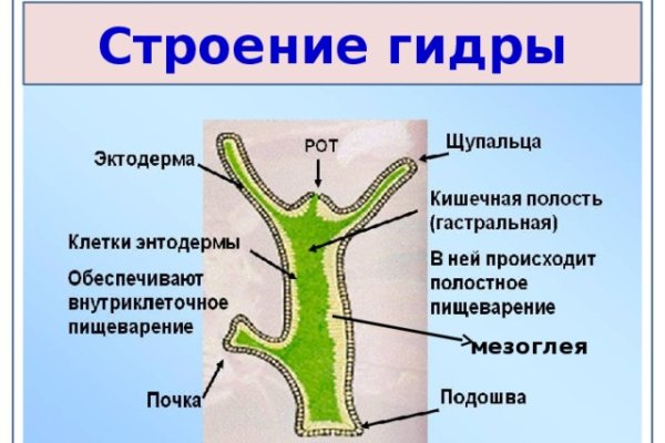 Официальный сайт kraken ссылки зеркала