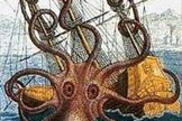Пользователь не найден при входе на кракен